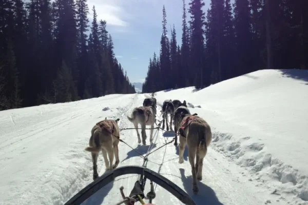 10010816_703216733048522_8233871931988984220_o