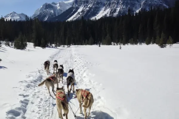 10271348_703216666381862_8844237081664004096_o