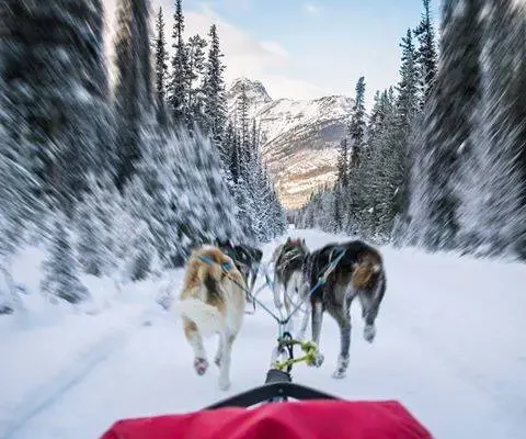 10806248_818034244900103_6356074133018436096_n