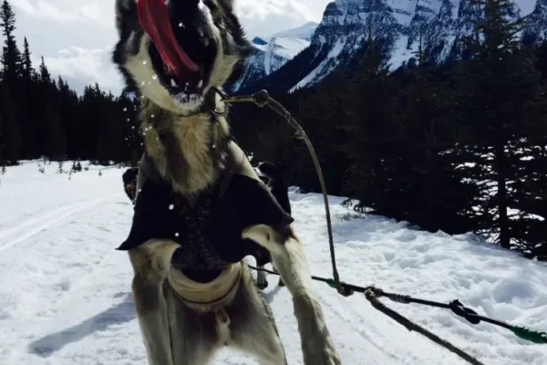 11016113_862630137107180_5768354858895638941_o