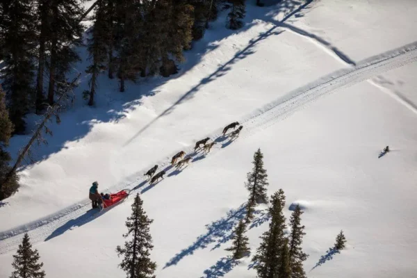 13502628_1077719045598287_3217073919900976012_o