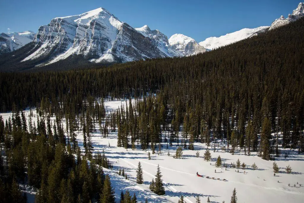 This image is by Kingmik Dog Sled Tours.