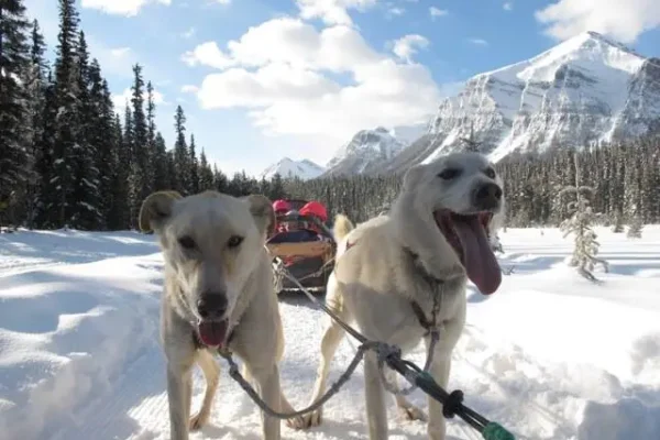 1972309_698379586865570_1915035892_n