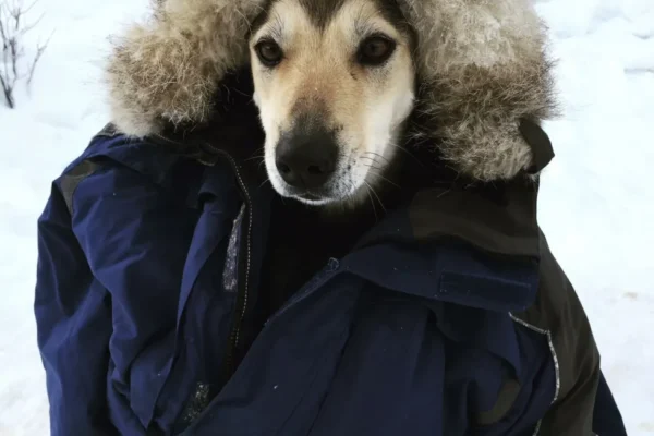 26841188_1588233931213460_5783325967629896054_o