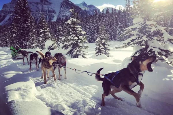 28166979_1618494044854115_4839598175400677831_n