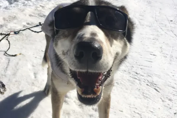 28698772_1640727759297410_2278853417461967195_o