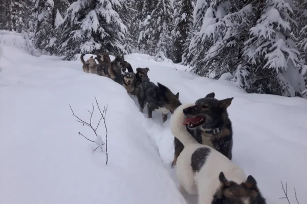 28827130_1636256419744544_603226547920464375_o