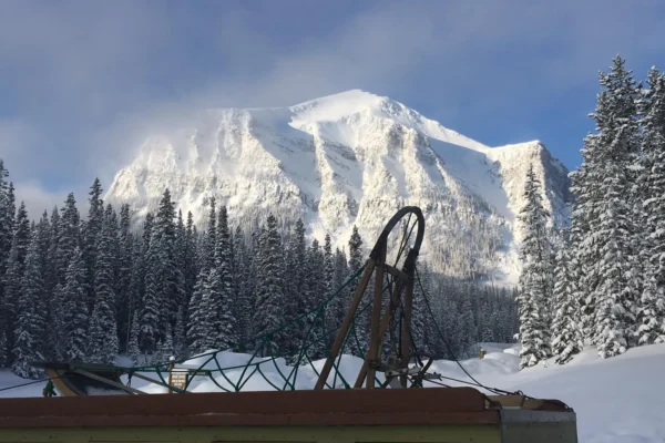 29354794_1659169044119948_5431504643334847246_o (1)