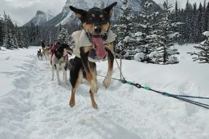 30127976_1665332496836936_5405541152754474734_n