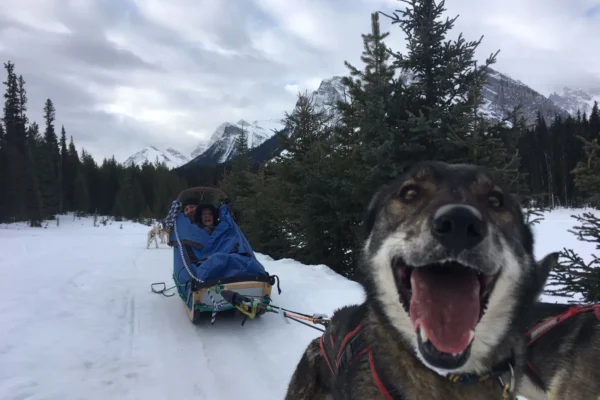 56927216_2156993594337488_6572310366821285888_o