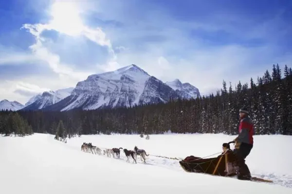 60656609_2225239887512858_7105042253197869056_n