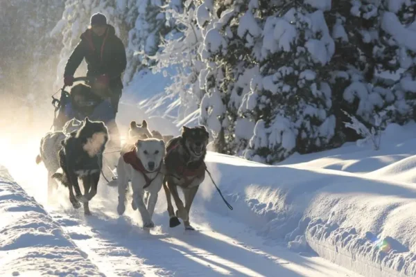 69206950_2383808394989339_9085349195463786496_n