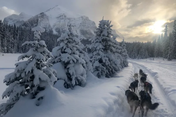 80389888_2634265116610331_518944556025118720_o-1-e1582920571182