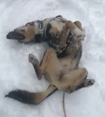 83643507_2714044785299030_7649110572608258048_n