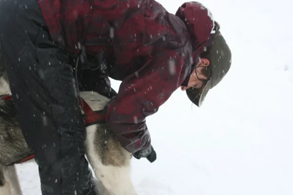 Bri-and-Belle-scaled