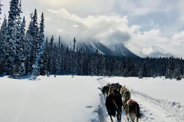 photo2jpg-e1582932916265